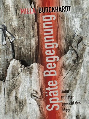 cover image of Späte Begegnung